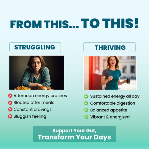 IM G-Reset - 2 Bottles | Gut & Metabolic Support | Probiotics Akkermansia & Bifidobacterium Breve | Riboflavin B2, Mangosteen, Berberine & Resveratrol | Daily Digestive Wellness Capsules