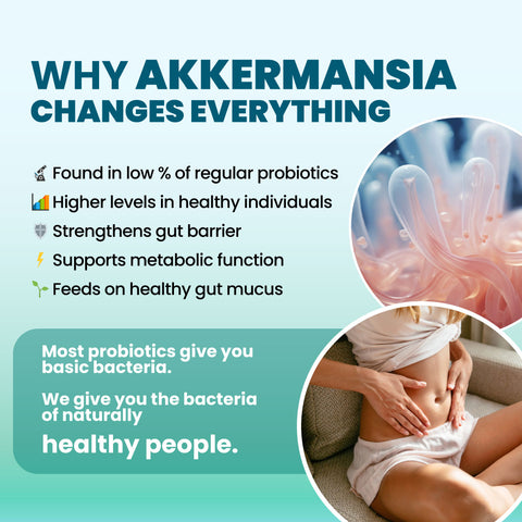 IM G-Reset - 2 Bottles | Gut & Metabolic Support | Probiotics Akkermansia & Bifidobacterium Breve | Riboflavin B2, Mangosteen, Berberine & Resveratrol | Daily Digestive Wellness Capsules