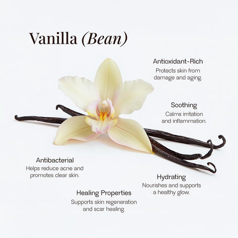 NYORA Grass Fed Whipped Tallow Balm - with Vanilla Bean | 2 fl oz Daily Moisturizer for Soft Hydrated Skin with Vitamins A D E & K