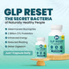 IM GLP Fire Pack - IM GLP Reset & IM Fit Fire | Gut & Metabolic Support | Probiotics Akkermansia & Bifidobacterium Breve - Green Tea Leaf Extract, Apple Cider Vinegar, Berberine HCL