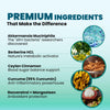IM GLP Fire Pack - IM GLP Reset & IM Fit Fire | Gut & Metabolic Support | Probiotics Akkermansia & Bifidobacterium Breve - Green Tea Leaf Extract, Apple Cider Vinegar, Berberine HCL